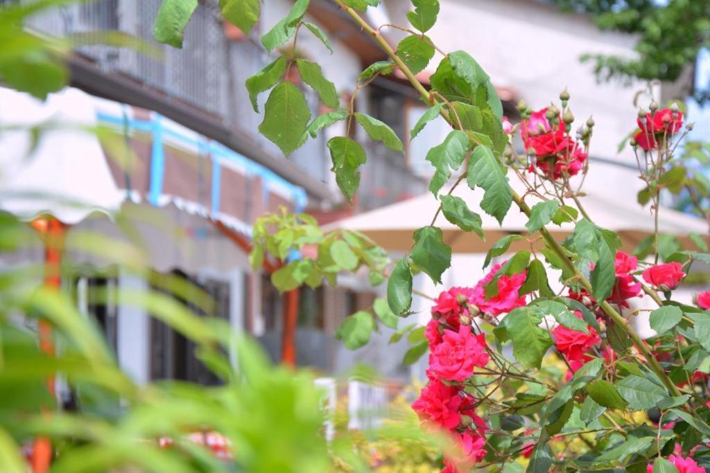 Agriturismo Sul Sentiero Pianillo Dış mekan fotoğraf